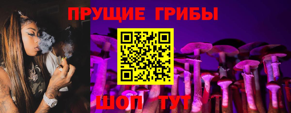 Галлюциногенные грибы Magic Shrooms Тольятти